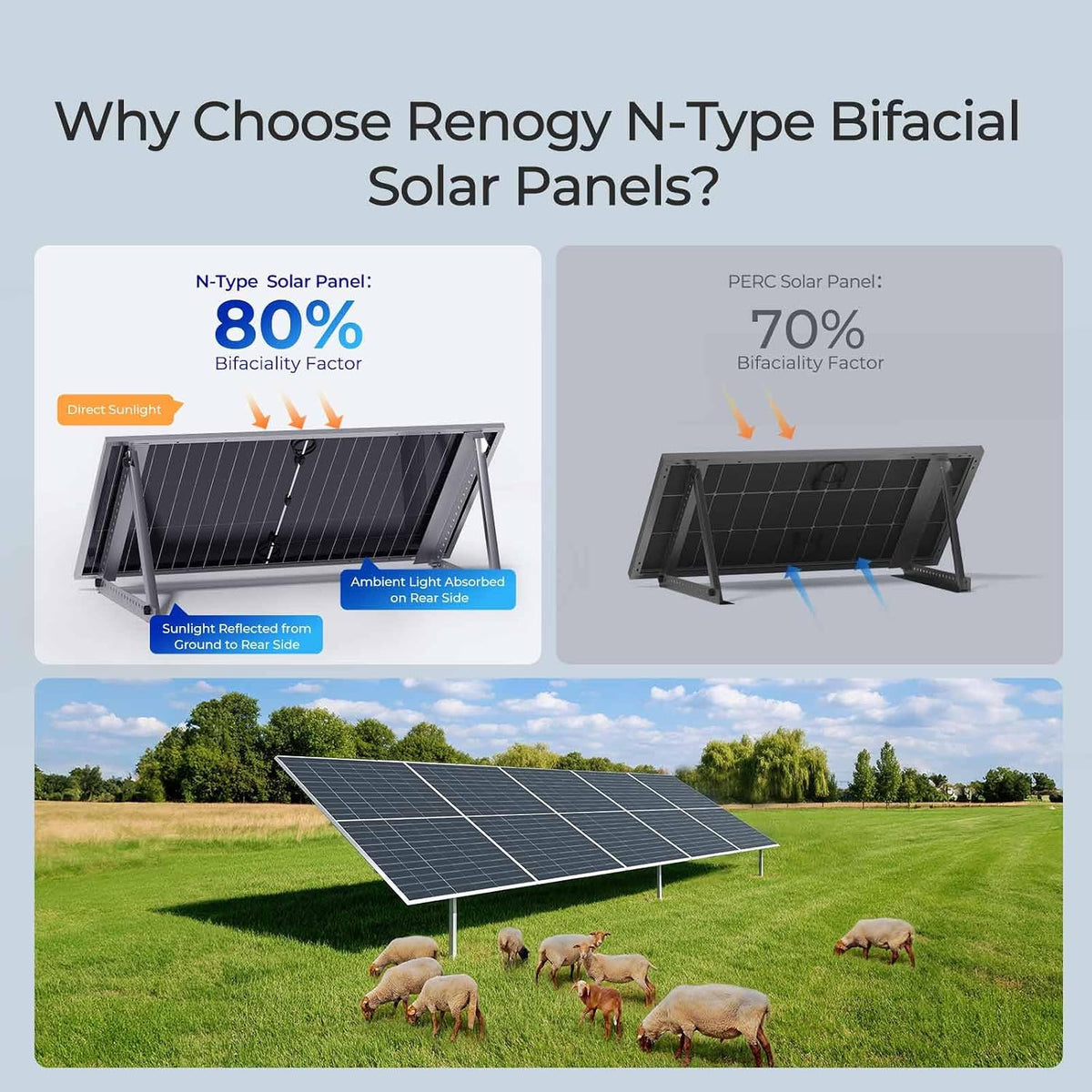 Renogy Bifacial Solar Panel 2360W N-Type 16BB, 25% High Efficiency